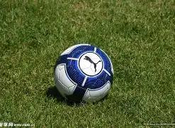 加拿大瑞士,法郎,开云平台网站国际米兰的赞助商,开云体育,开云体育官网,开云体育app,开云体育平台,KAIYUN,SPORTS,kaiyun登录入口