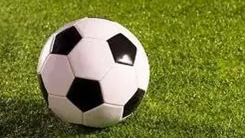 开云平台网站国际米兰的赞助商 产品 141943 ph3