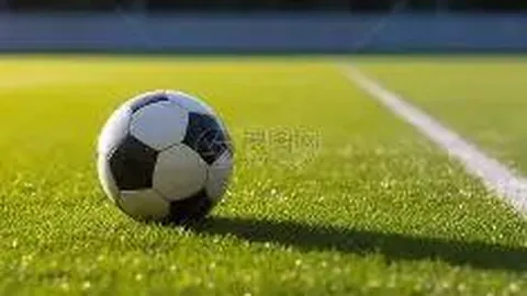 开云平台网站国际米兰的赞助商 资讯 115919 9pk